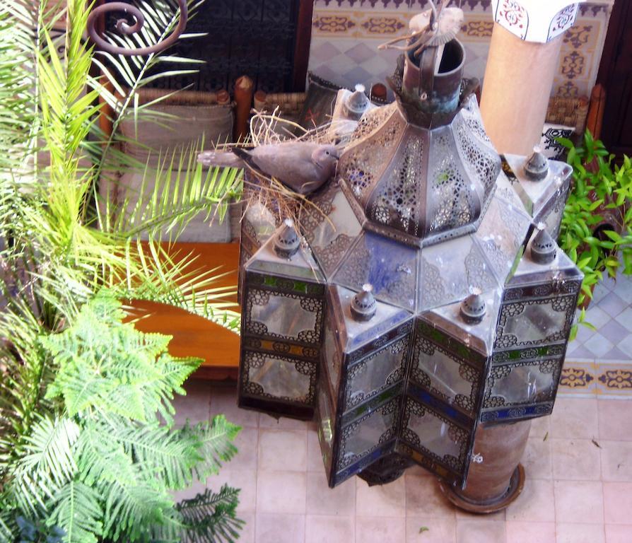 מלון מרקש Dar Malaika מראה חיצוני תמונה